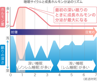 睡眠サイクルと成長ホルモン分泌のリズム