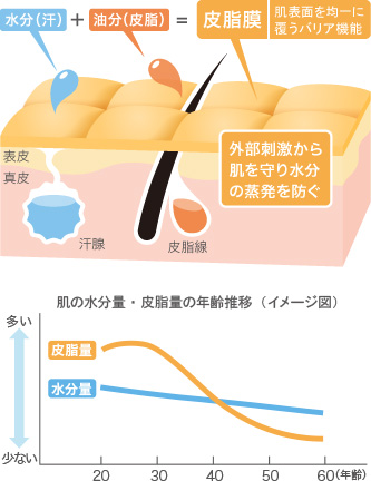 肌の水分量・皮脂量の年齢推移(イメージ図)