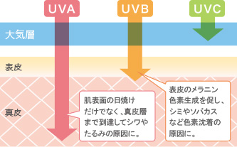 紫外線の種類