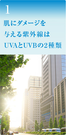 肌にダメージを与える紫外線はUVAとUVBの2種類