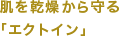 肌を乾燥から守る「エクトイン」