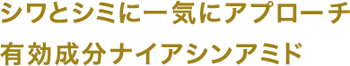 シワとシミに一気にアプローチ  有効成分ナイアシンアミド