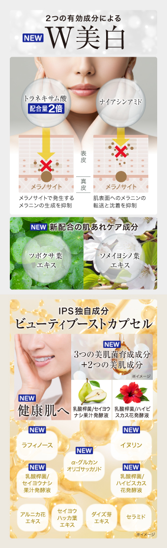 製品に含まれる成分の説明図です