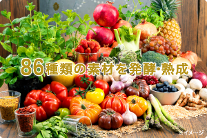 86種類の野菜や果物などのイメージ図